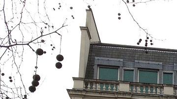 2-8a Rutland Gate de Hyde Park, en Knightsbridge, Londres.