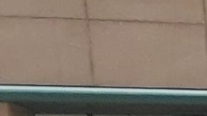 Policía estatal de NY