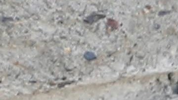 Está previsto que el grupo salga de San Pedro Sula, Honduras.