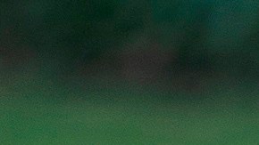 Advirtieron que Trump representa una amenaza para la seguridad nacional.