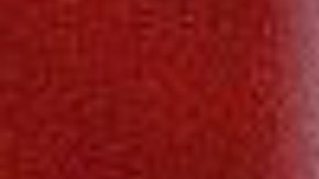 Michelle Obama ya ha expresado públicamente que no le interesa participar en elecciones.