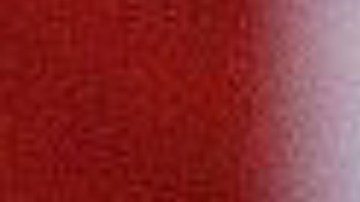 Michelle Obama ya ha expresado públicamente que no le interesa participar en elecciones.