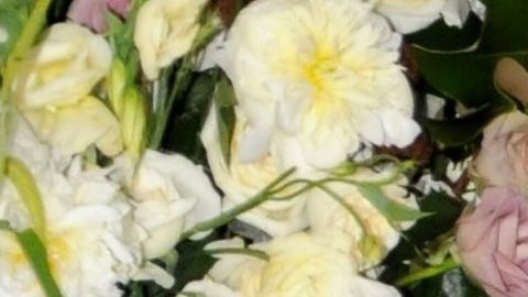 Yadhira Carrillo y Juan Collado.