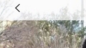 Damian Martin tenía 16 años.