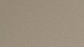 Provost es la primera (y única) mujer que ocupa el cargo.