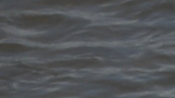 Hombres, mujeres y niños avanzaron por el agua.