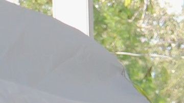 Más de 60,000 inmigrantes han sido enviados a México.