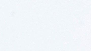 Alonso salió ileso.