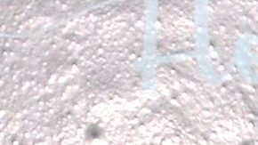 Manuel Velasco y Anahí.