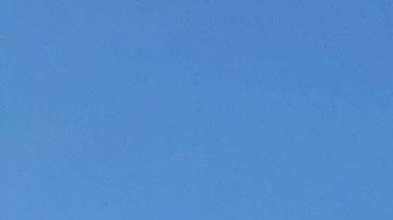 Muro de Trump en el desierto