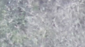 El terreno en Calabasas, California, es diferente al que muestra el video.