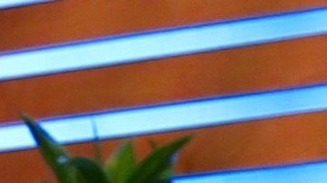 Jomari Goyso junto a Lili Estefan en El Gordo y la Flaca de Univision.