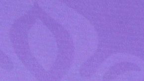 Jacqueline Bracamontes