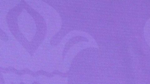 Jacqueline Bracamontes