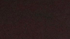 Países como Japón también se preparan para sacar a sus conciudadanos de Wuhan.