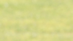 El mediocampista marfileño ya entrenó con Monterrey.