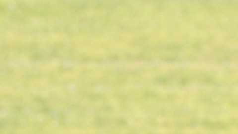 El mediocampista marfileño ya entrenó con Monterrey.