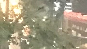 Miles de aficionados de Los Lakers se reúnen en el Staples Center. (Iliana Salguero)