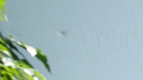 El gladiador no pudo contener las lágrimas frente a las cámaras.