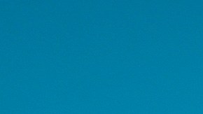 Brown debería ser controlado a través de un GPS, entregar su pasaporte y sus armas.