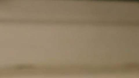 El Australian Reptile Park alertó sobre un incremento en arañas venenosas.