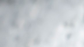 La mujer reportó el incidente a las autoridades ambientales de su ciudad.