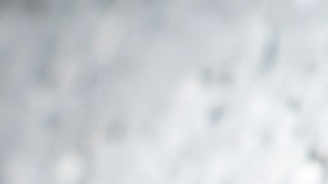 La mujer reportó el incidente a las autoridades ambientales de su ciudad.