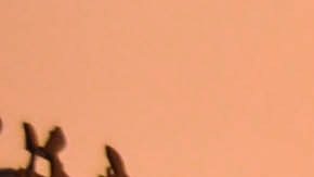 architecture-auto-automobiles-bridge-210182