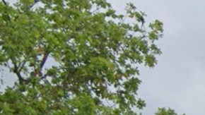 Exterior de la escuela Benjamin Franklin en North Miami