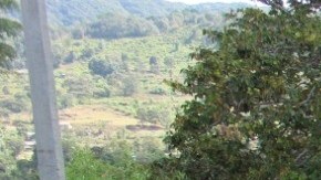 Arman a niños para pelear contra narcos.