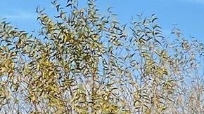 El inicidente provocó un incendio, que todavía está siendo combatido por los bomberos de Corona.