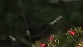 El dueño de la barbería de Plantation negó que eso ocurriera en el interior de su establecimiento.