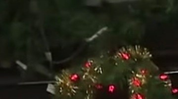 El dueño de la barbería de Plantation negó que eso ocurriera en el interior de su establecimiento.