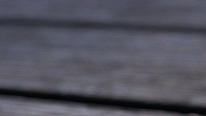 Según la mujer, entre ellos hay verdadero amor.