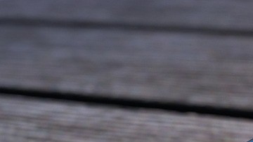 Según la mujer, entre ellos hay verdadero amor.