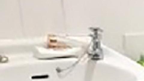 La boa hallada en el baño.