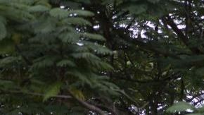 Son cientos los ciudadanos en el área sur que se niegan a regresar a sus hogares por el miedo a que un nuevo sismo haga colapsar sus residencias.