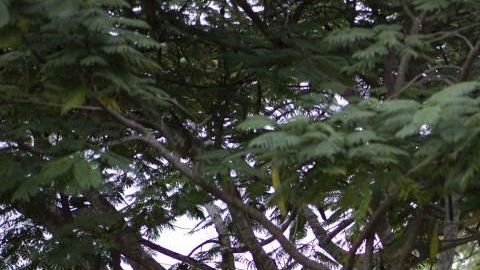Son cientos los ciudadanos en el área sur que se niegan a regresar a sus hogares por el miedo a que un nuevo sismo haga colapsar sus residencias.
