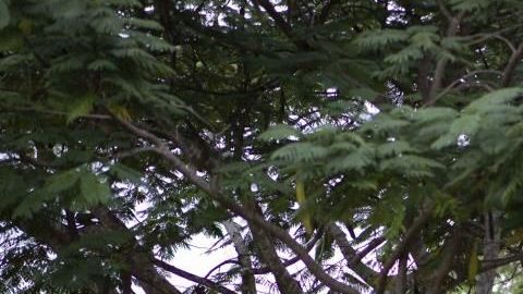 Son cientos los ciudadanos en el área sur que se niegan a regresar a sus hogares por el miedo a que un nuevo sismo haga colapsar sus residencias.