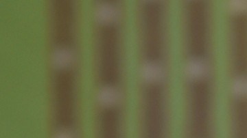 El Brujo Mayor recomendó a la directiva hacerse una limpia.