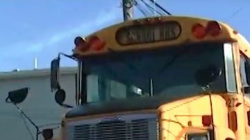 El hecho ocurrió en un bus escolar