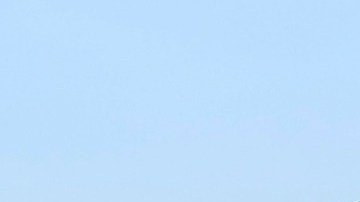 Los camellos están poniendo en riesgo a las comunidades de aborígenes.