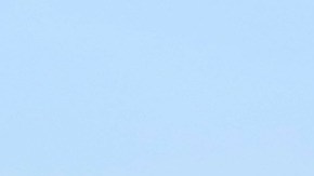 Los camellos están poniendo en riesgo a las comunidades de aborígenes.