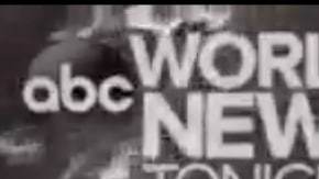 Un autobús, tres camiones y varios vehículos estuvieron involucrados.