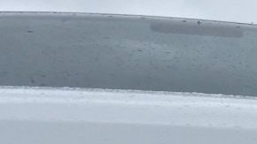 car-grill-2685049_1920