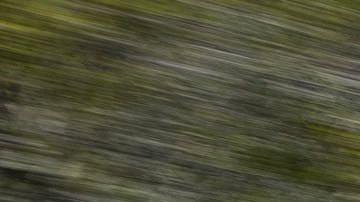 Renault Clio RS-Line