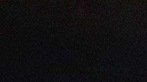 Vince Carter, uno de los jugadores más longevos en la historia de la NBA.