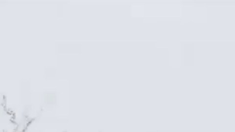 Imagen del exterior de la casa de Naples pintada como si fuera de dibujos animados.