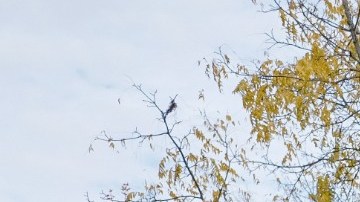 Las bajas tasas hipotecarias no garantizan un crecimiento de ventas en el mercado inmobiliario.