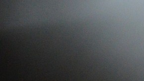 Una influencer decidió someter a su gato a un tatuaje y compartirlo en Instagram.